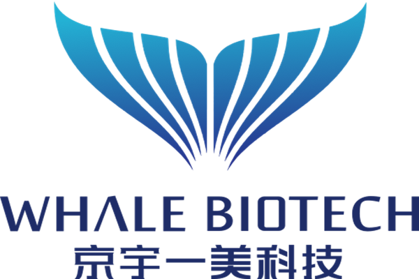 北京京宇一美-注射器活塞推力測(cè)試儀合作